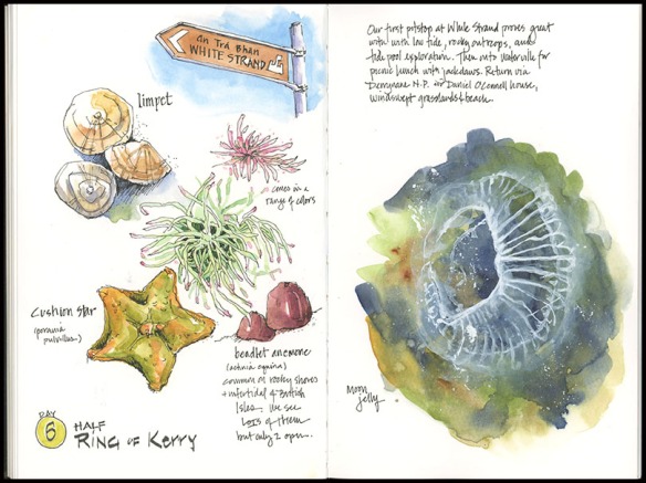06_Ring-of-Kerry | Drawn In